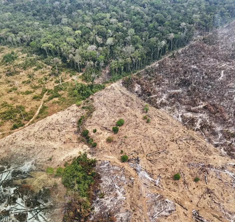 Aerial view of deforestation in the Amazon, illustrating the environmental risks addressed by the EU Deforestation Regulation (EUDR) and the importance of responsible finance and investment