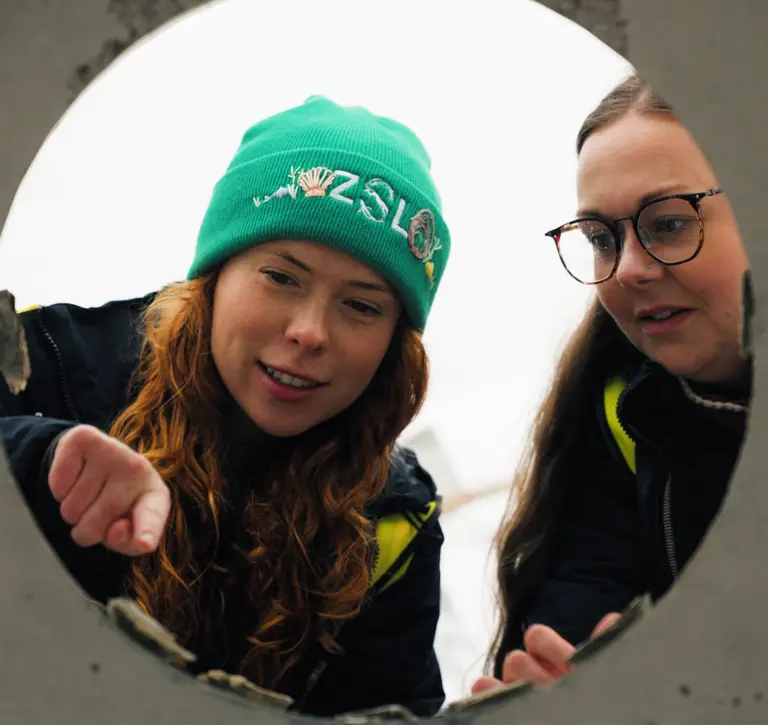 ZSL's Celine Gamble and Groundwork's Ashleigh Tinlin-Mackenzie with native oysters attached to oyster reef cubes ahead of their deployment in North Sea