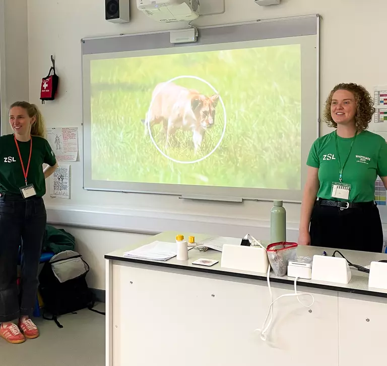 Two ZSL employees at front of a classroom playing a video