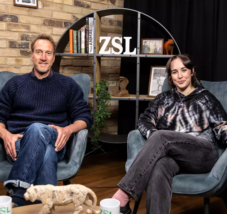 Ben Fogle and Megan McCubbin in the studio