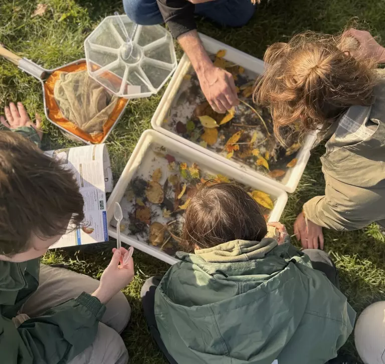 Volunteers and staff looking at sample in trays