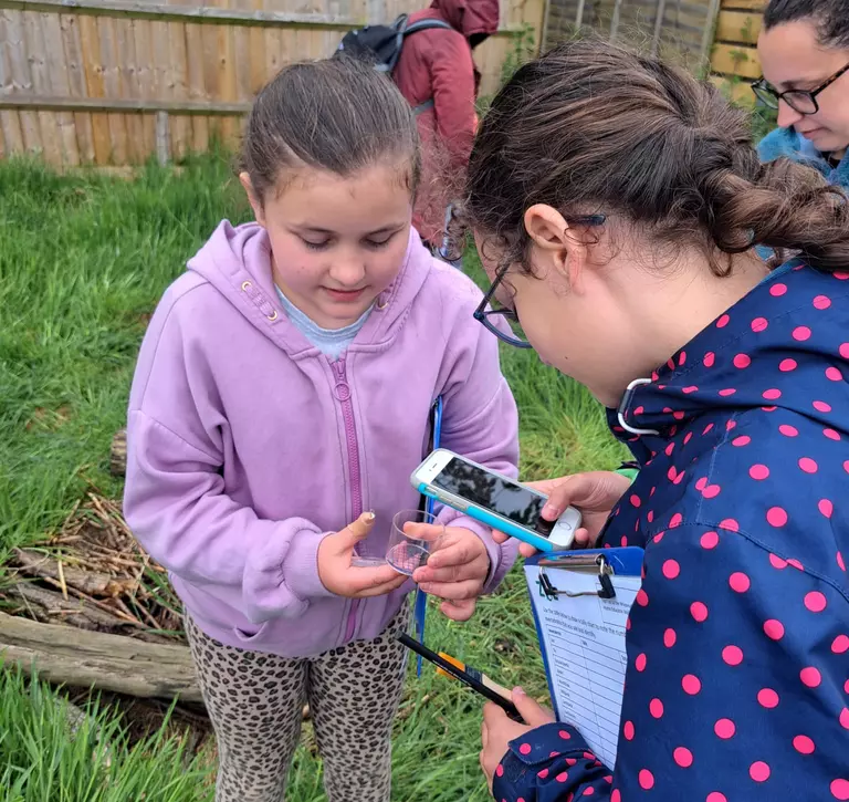 Children photograph an invertebrate in a container