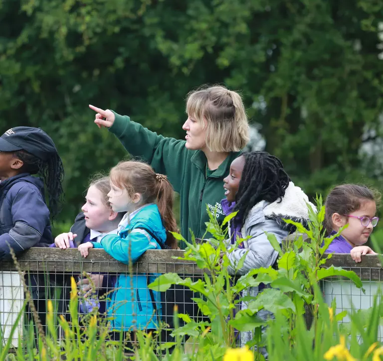 A ZSL education team member teaches students outside at chimpanzees