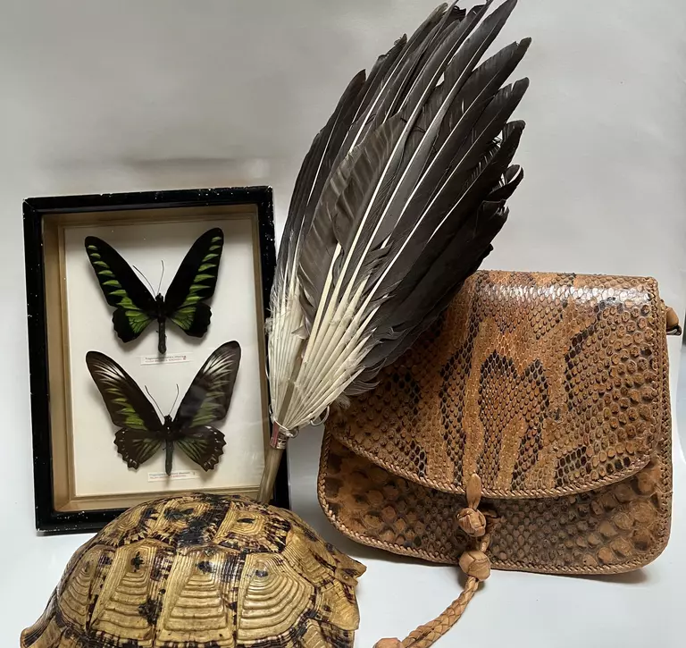Specimens from the biobank