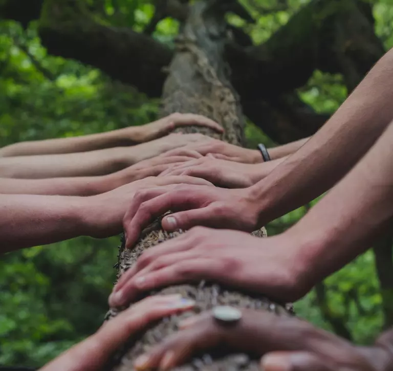 Hands on logs, representing unified climate-nature action