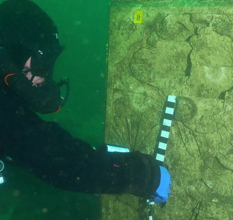 Diver completing monitoring survey